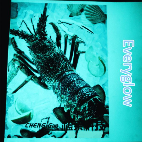 Everyglow® Ink-jet photoluminescent paper Aqua