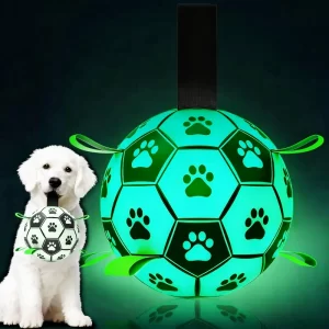 Glow in the dark plastics masterbatch