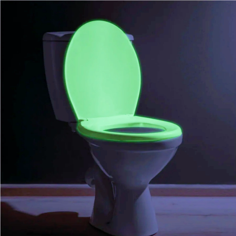 glow-in-the-dark toilet seat