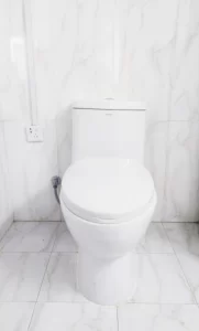 glow-in-the-dark toilet seats