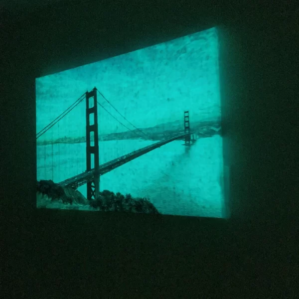 glow in the dark artist canvas